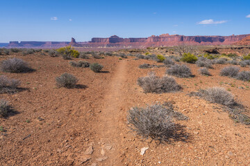 hiking the murphy trail loop in the island in the sky in canyonlands national park, usa