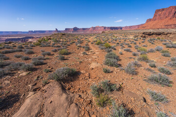 hiking the murphy trail loop in the island in the sky in canyonlands national park, usa