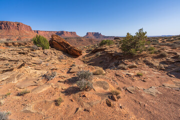 hiking the murphy trail loop in the island in the sky in canyonlands national park, usa