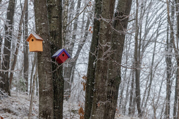 Two Birdhouses on a Tree