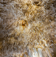 Stalactites Hanging From The Cieling of The Big Room, Carlsbad Caverns National Park, New Mexico, USA