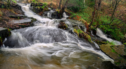 waterfall in the forest