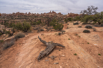 hiking the chesler park loop trail in the needles in canyonlands national park, usa