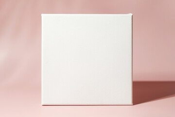 Blank canvas frame on pink background