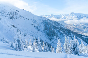 View of winter landscape with snow covered trees and Alps in Seefeld in the Austrian state of Tyrol. Winter in Austria