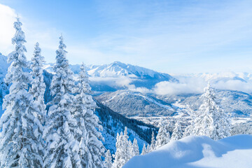 View of winter landscape with snow covered trees and Alps in Seefeld in the Austrian state of Tyrol. Winter in Austria