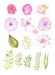flower watercolor