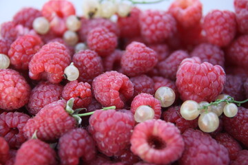 raspberry