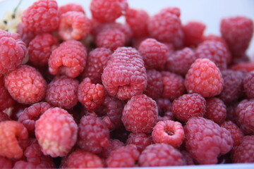 raspberry