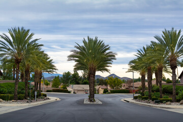 Fototapeta na wymiar Beautiful road lined with palm trees with the background of cloudy sky, Oasis Community, Menifee, California, USA