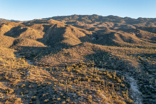 Sunset near Saguaro National Park