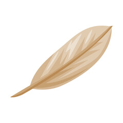 Light Indian Feather as Wild West Object Vector Illustration