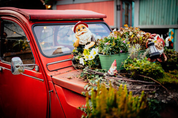 Gartenzwerg unter Blumen auf einem Auto