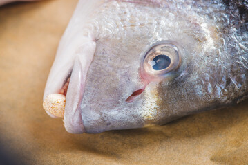 Rotten fish in basket.water polluted