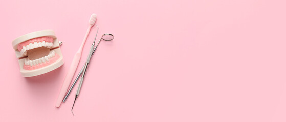 Plastic jaw, toothbrush and dental tools on pink background with space for text