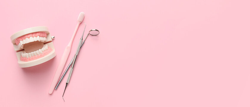 Plastic jaw, toothbrush and dental tools on pink background with space for text - Powered by Adobe