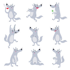 Grey Wolf Character with Pointed Muzzle Engaged in Different Activity Vector Set