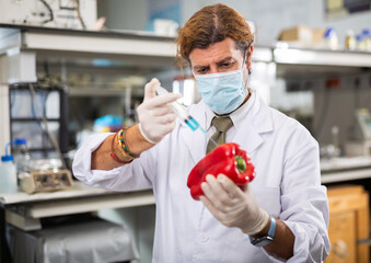 Male scientist injecting reagent from syringe into red bell pepper, performing scientific researching of food genetic modification in laboratory