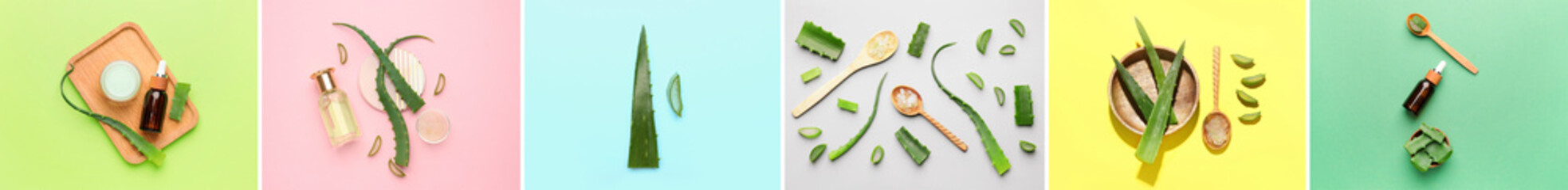 Collection of fresh aloe vera leaves and natural cosmetic products on color background