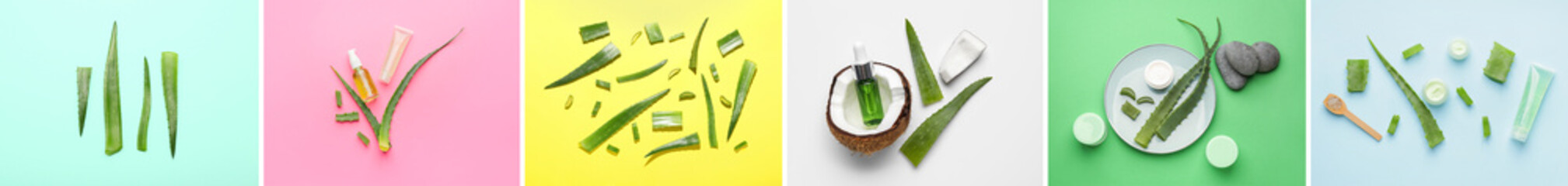 Collage of fresh aloe vera leaves with coconut and natural cosmetic products on color background