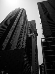 skyscrapers in the city