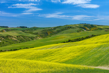 Tuscany. Landscape view, hills and meadow, Italy - 558782514