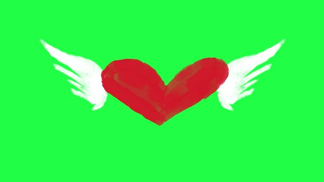 Hand Drawn winged heart animation on a green background. Cartoon Hand Drawn heart animation with key color. Women's day, Valentine's Day, and Wedding day heart animation. Key color, Chroma key. 4k