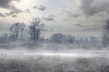 Fototapeta na wymiar Winter forest with frost on the trees and the ground and fog in the air