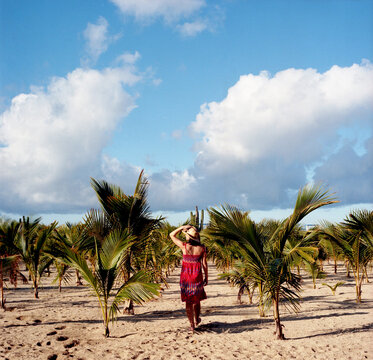 A Woman Walks On Sand Between Young Palm Trees Holding Her Hat On A Sunny Day At The Beach.