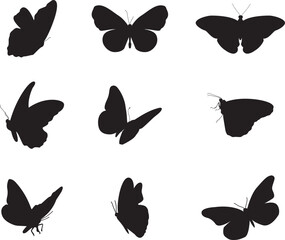 A collection of butterflies for artwork composition