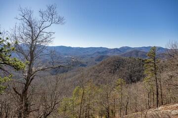 Obraz premium bartram trail