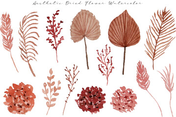aesthetic modern dried flowers and leaf watercolor