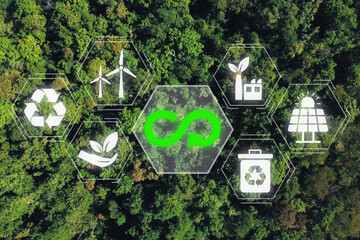 Circular economy concept, Aerial top view green forest with circular economy icon on vr screen,...