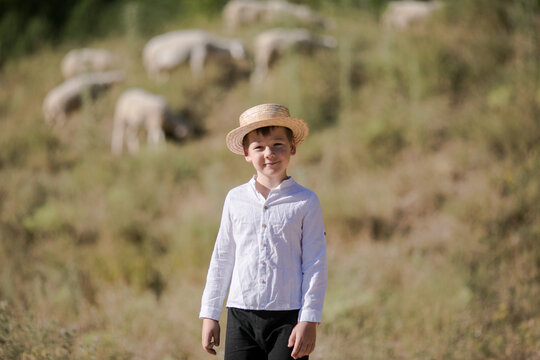Rear on Caucasian small teen boy in hat walking outdoor in field and looking after sheep
