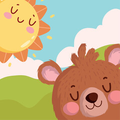 cute bear animal sunny day