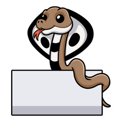 Fototapeta premium Cute indian king cobra cartoon with blank sign