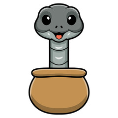 Cute black mamba snake cartoon in pot