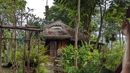 Thailand paddy field rice rain forest jungle hut wooden bamboo bridge footpath