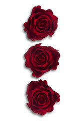 Valentine's Day. Flowers composition. frame made of rose flowers, background.