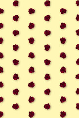 Valentine's Day. Flowers composition. frame made of rose flowers, background.