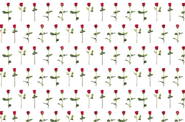 Fototapeta na wymiar Valentine's Day. Flowers composition. frame made of rose flowers, background.