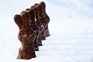 Chocolat Easter bunnies in single snow file