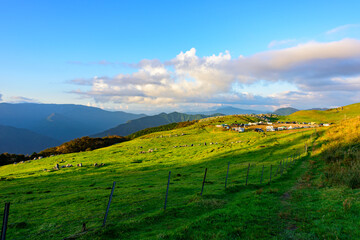 四国カルスト姫鶴平キャンプ場の夕景
