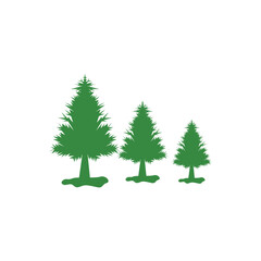 pine icon