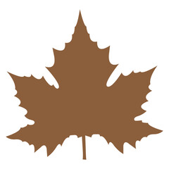 Fototapeta premium maple leaf on a white background
