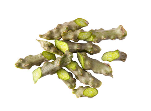 tinospora cordifolia or bora phet (thai name) with green leaves isolated on transparent png