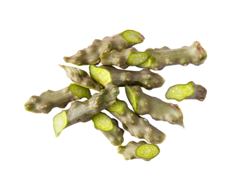 tinospora cordifolia or bora phet (thai name) with green leaves isolated on transparent png