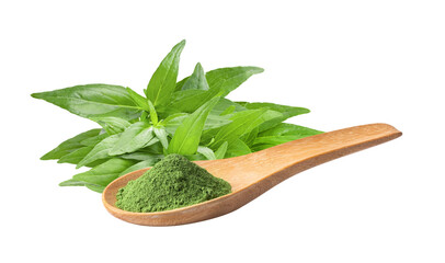 Kariyat or Andrographis paniculata powder and  green leaves  on transparent png