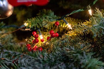 Christmas tree lights and decorations