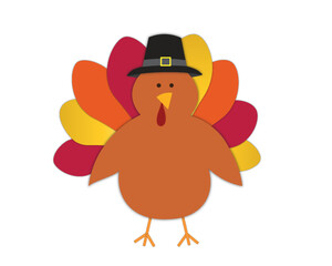 Turkey with Multicolored Feathers and Pilgrim Hat